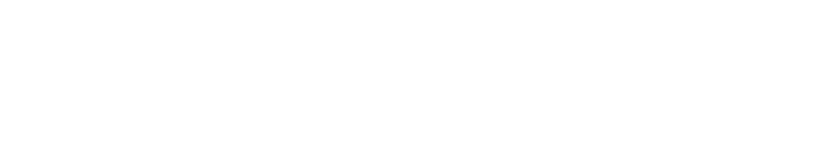 Socket